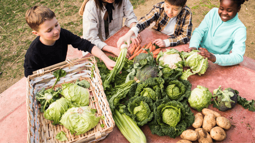 Four elementary school-aged children gathered around a picnic table outside. On the table is a wicker basket with three heads of lettuce inside. On the table to the basket's right are three cauliflower heads, four more heads of lettuce, a few stalks of freshly picked celery, and seven unpeeled white potatoes.
